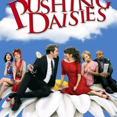 pushing daisies poster